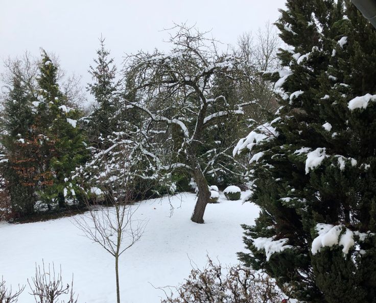 Winterlandschaft im Garten