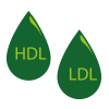 2 Tropen Cholesterin HDL und LDL