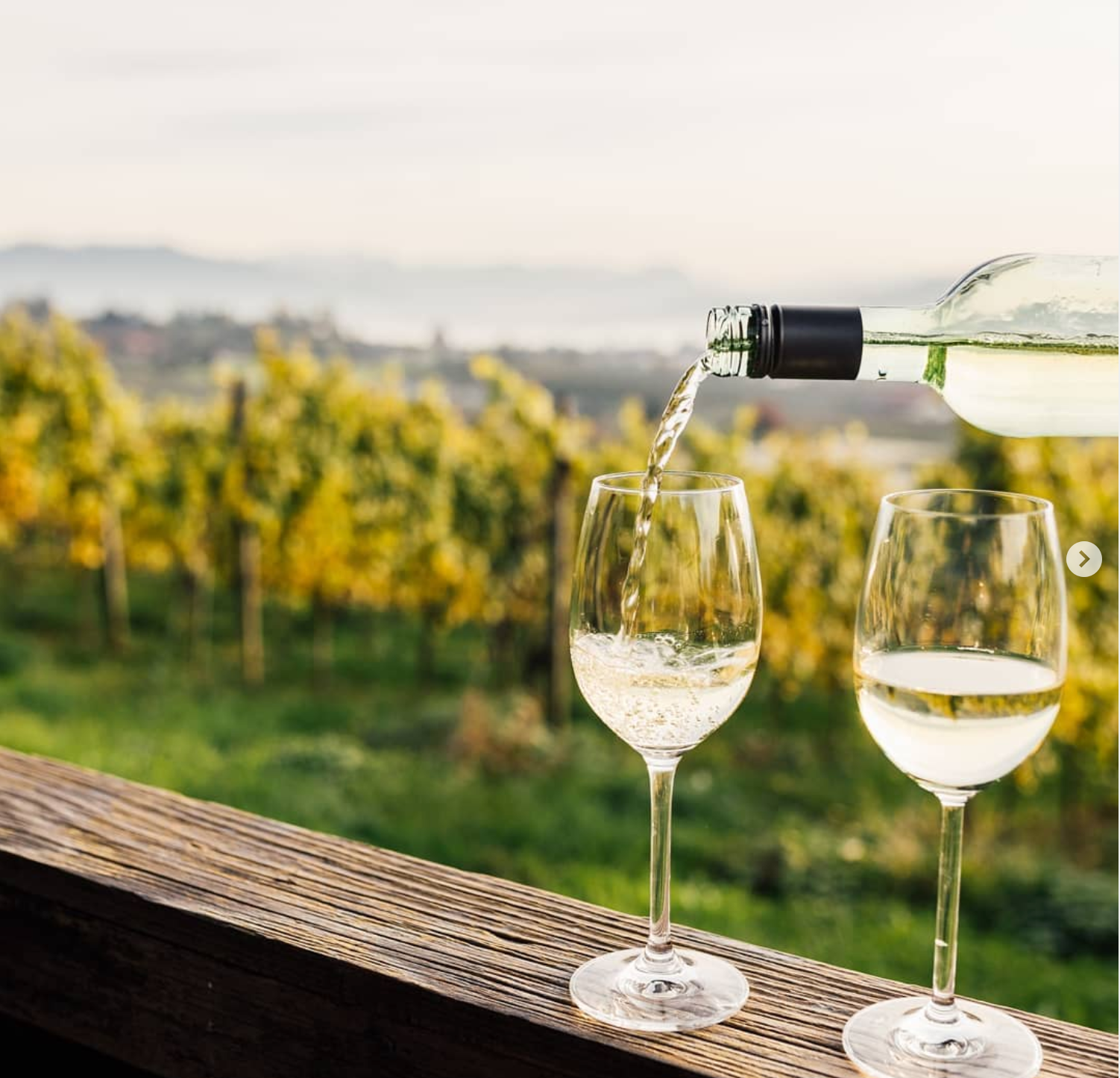 Zwei Weingläser, in die gerade eingeschenkt wird, vor einer Rebenkulisse
