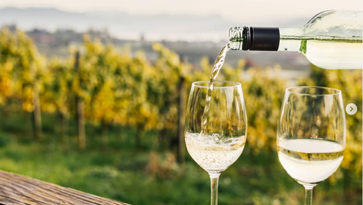 Zwei Weingläser, in die gerade eingeschenkt wird, vor einer Rebenkulisse