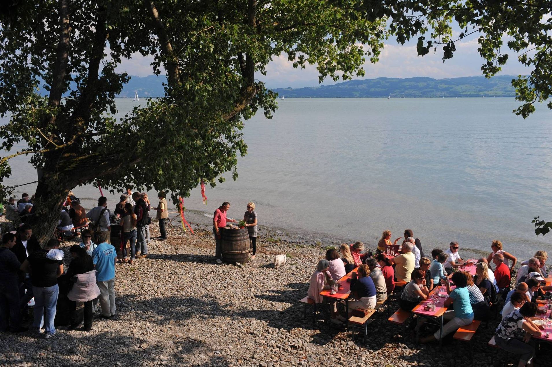 Tische und Bänke direkt am Bodensee mit Feiernden an Komm und See beim Weingut Hornstein am See