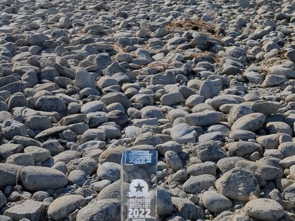 Pokal schönster See Deutschlands" am Ufer mit Steinen, im Hintergrund ein Schwan