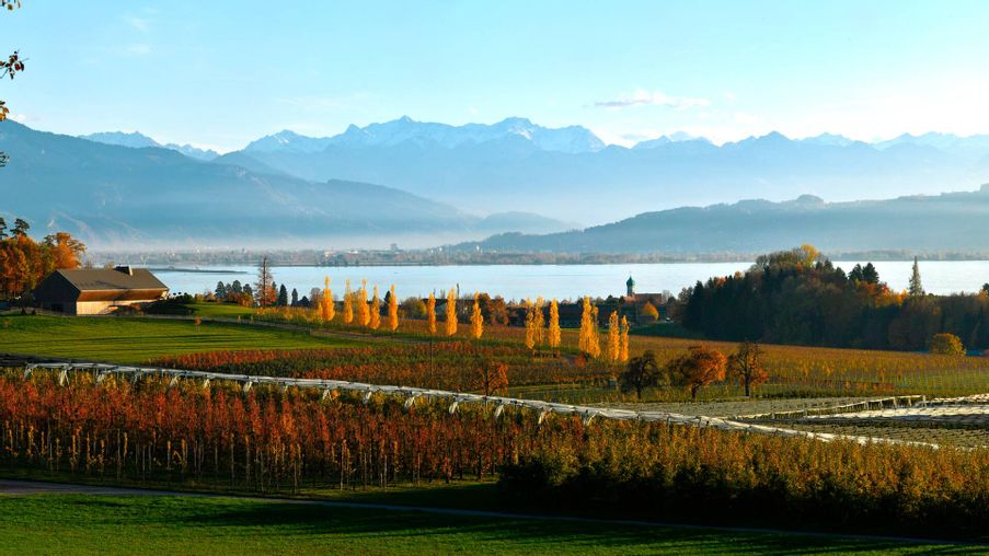 Luftaufnahme Umland von Wasserburg mit See und Bergsicht.
