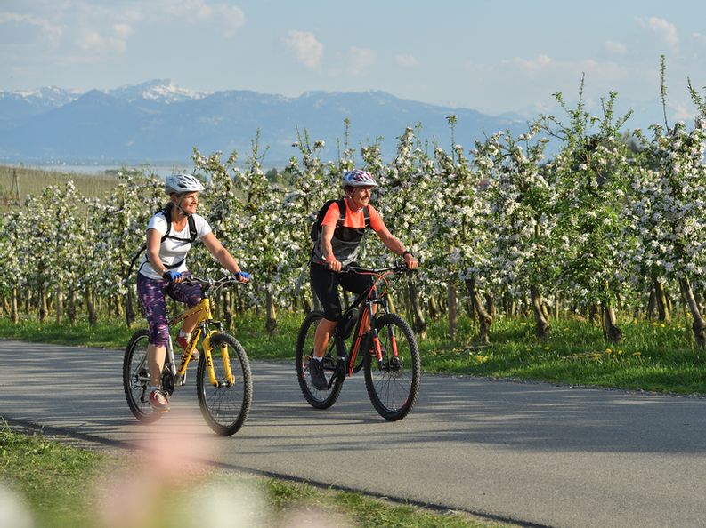 Radfahren fahren durch das prachtvolle Blütenmeer im Wasserburger Umland