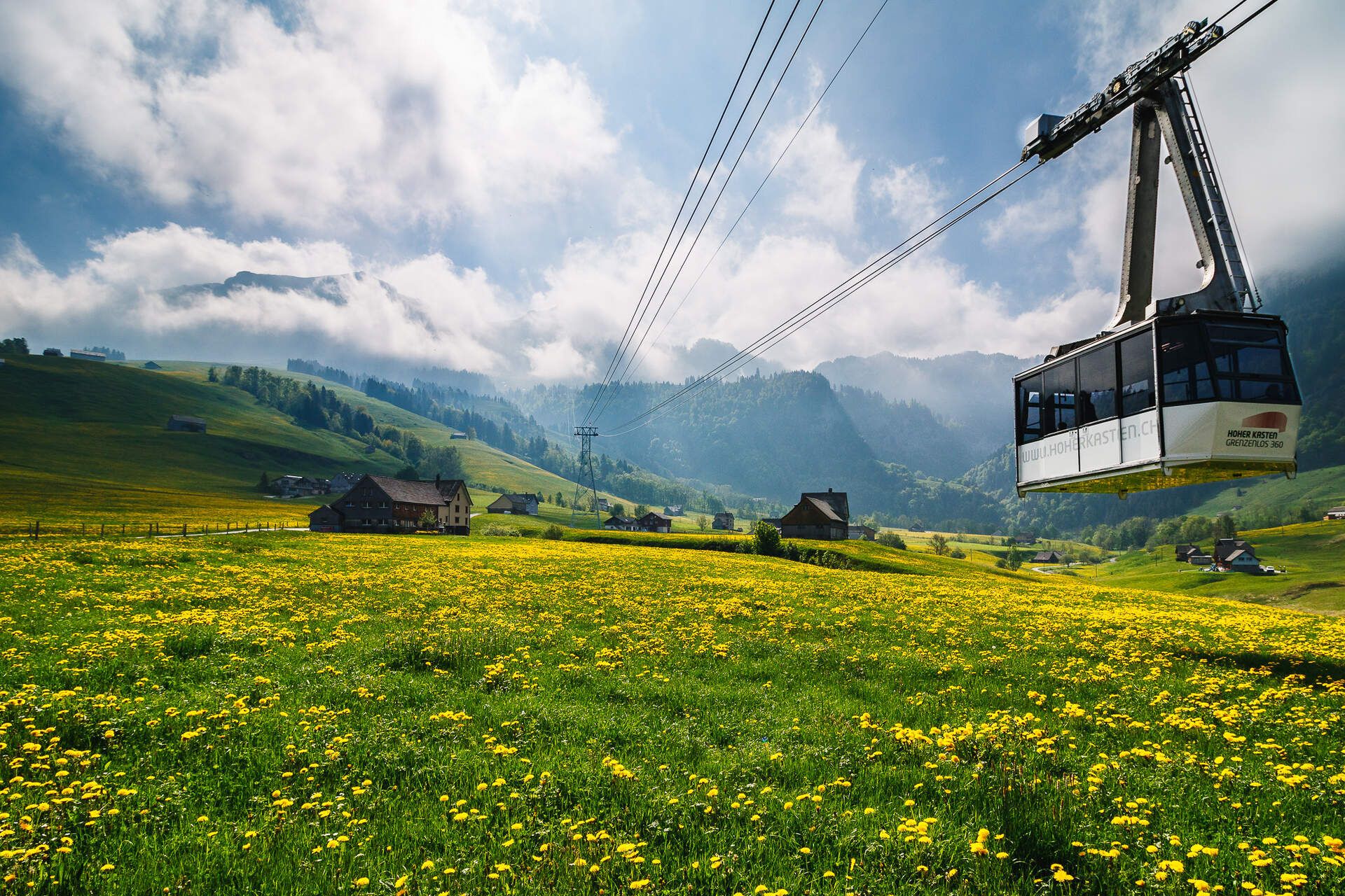 Die Seilbahn fährt den Hohen Kasten nach oben unten sieht man eine gelbe Blumenwiese. Im Hintergrund ist die Bergwelt zu sehen.