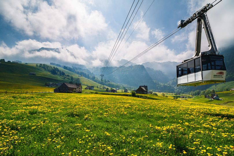Die Seilbahn fährt den Hohen Kasten nach oben unten sieht man eine gelbe Blumenwiese. Im Hintergrund ist die Bergwelt zu sehen.