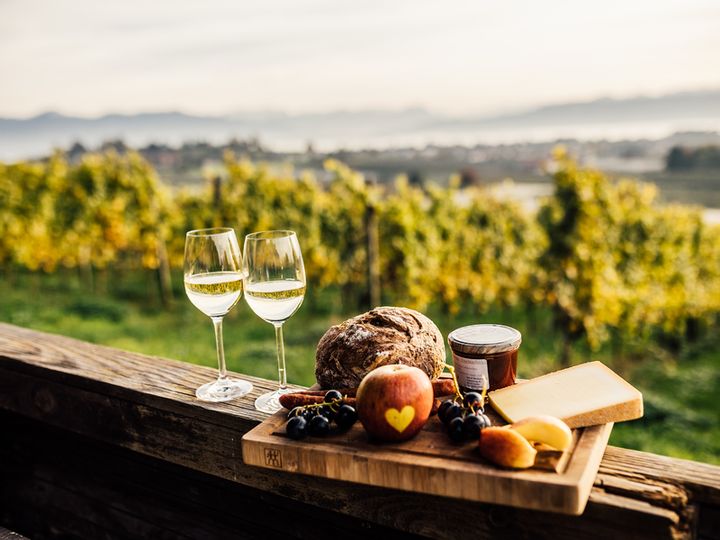 Eine Brotzeit mit Trauben, Äpfeln, Käse, Marmelade und einem Laib Brot sowie zwei Weingläsern. Im Hintergrund sind Weinreben zu sehen.