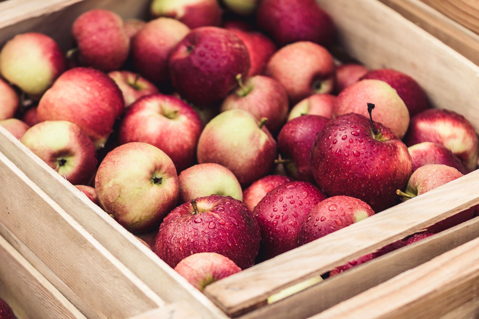 Schöne rote Äpfel in einer Kiste.