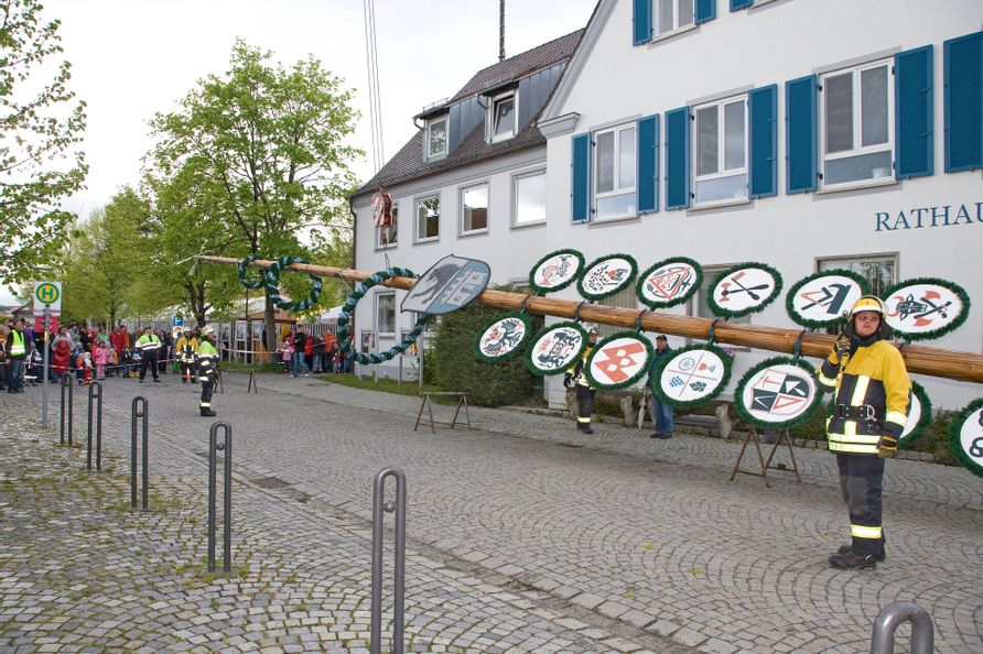 Maibaumstellen, der Maibaum liegt vor dem Rathaus. Feuerwehrleute stehen drum herum um ihn hochzuziehen.