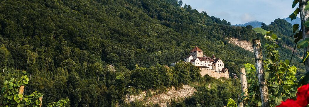 Schloss Vaduz in Liechtenstein umringt vom Wald.