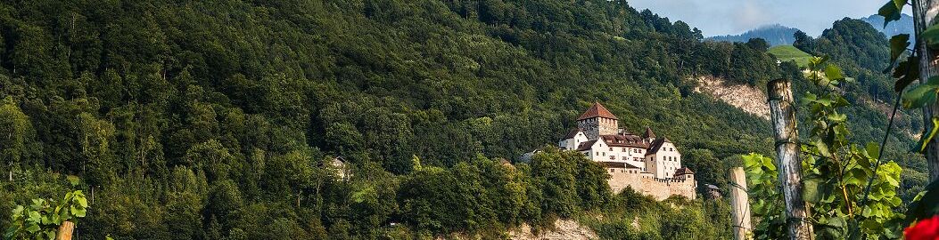Schloss Vaduz in Liechtenstein umringt vom Wald.