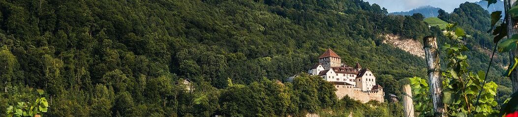 Schloss Vaduz in Liechtenstein umringt vom Wald.