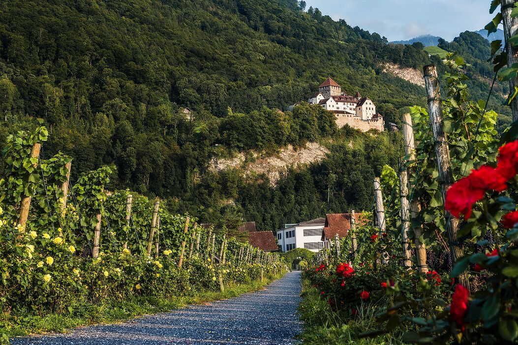 Schloss Vaduz in Liechtenstein umringt vom Wald.