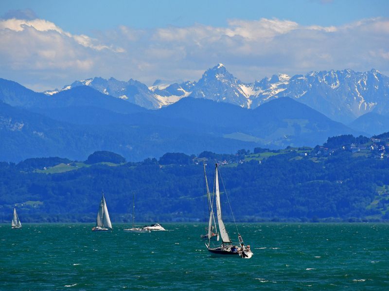 Segelboote auf dem Bodensee. Das Wasser schimmert Grün. Im Hintergrund ist die Bergwelt zu sehen, zum teil mit verschneiten Bergen.