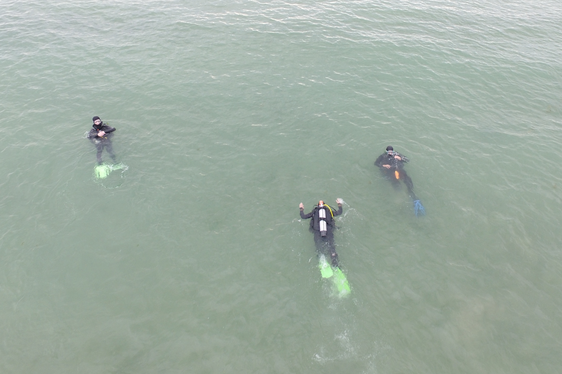 drei Taucher die im Bodensee Tauchen,
