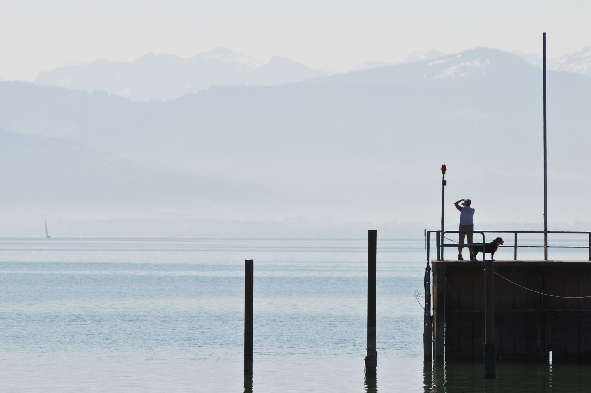 Ein Mann und sein Hund genießen die Aussicht direkt am Bodensee. Im Hintergrund ist die Bergwelt zu sehen.