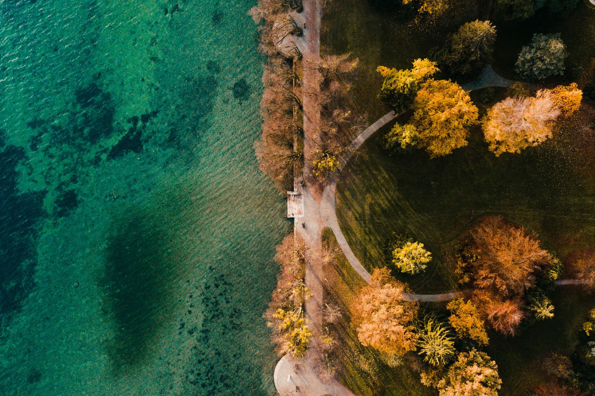 Auf der Linken Seite ist der Bodensee mit grün-blauen Farben zu sehen. auf der rechten Seite eine schöne Parkanlage mit Bäumen die gold-gelb gefärbt sind.