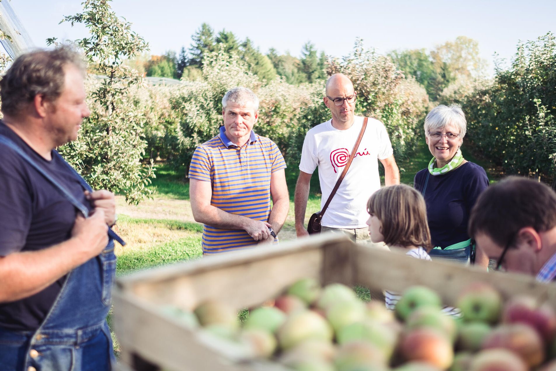 Führung auf dem Ferien- und Obsthof Marschall. Eine Gruppe inmitten von Apfelplantagen. Herr Marschall erklärt die Apfelernte.