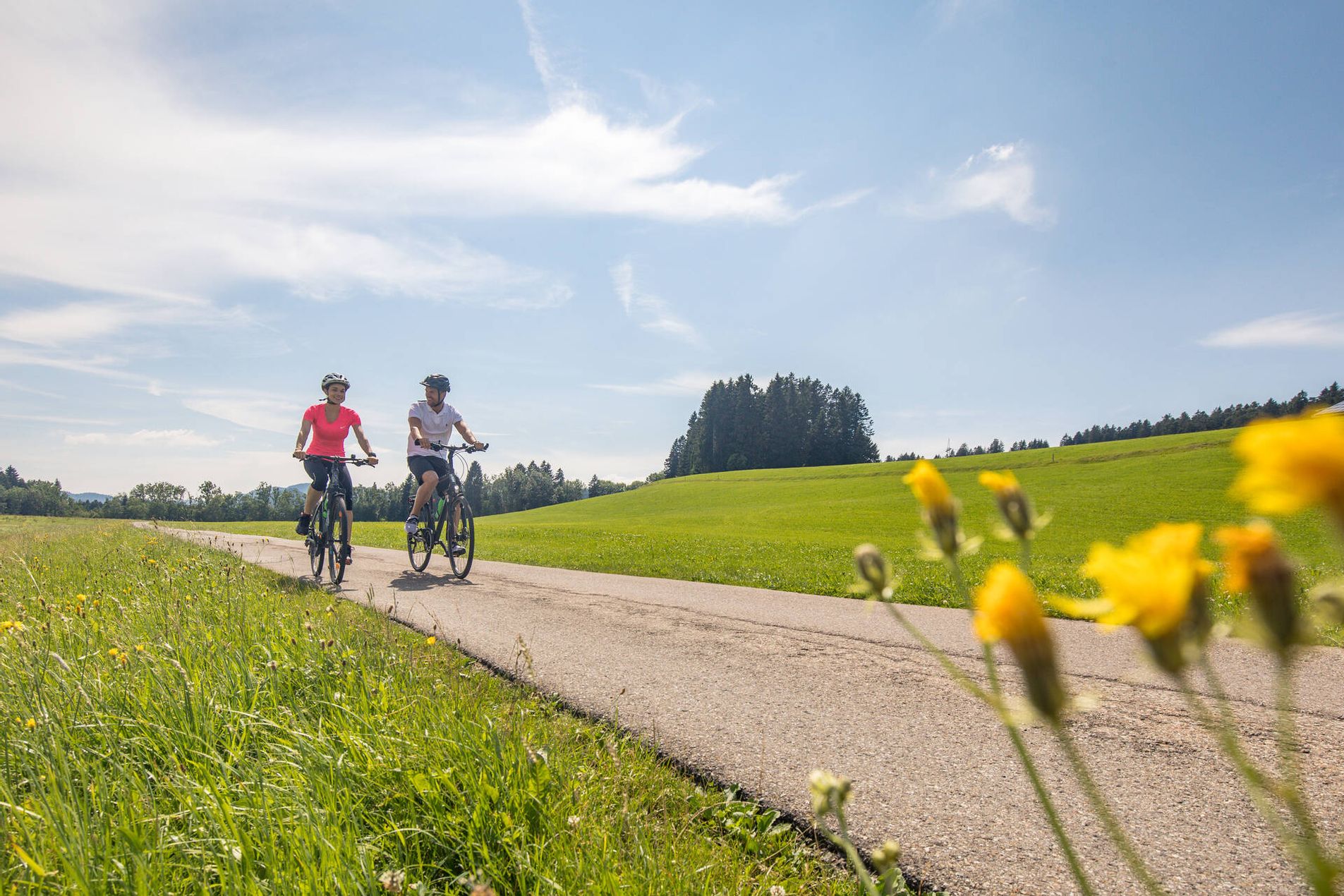 Fahrradfahrer auf einem Radweg inmitten von grün und Feldblumen.
