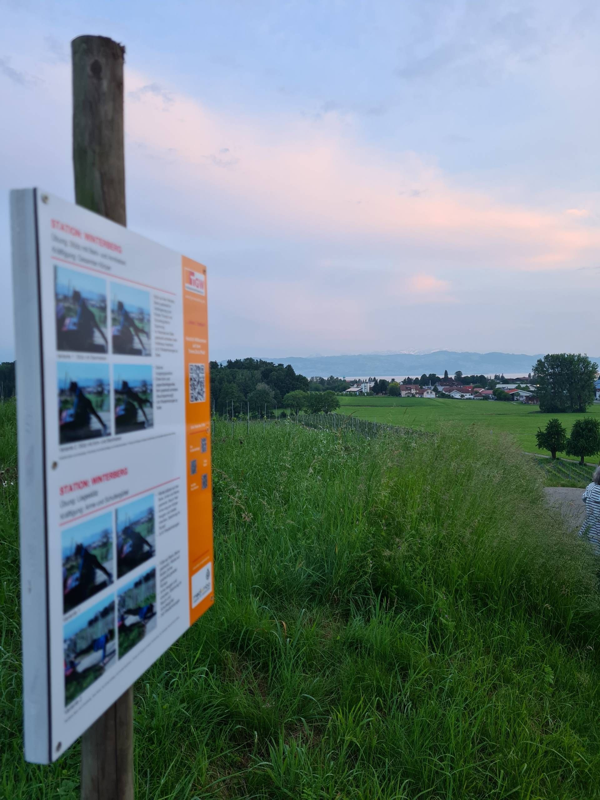 Tafel Weg Beschreibung Trimm.dich.Pfad Wasserburg inmitten von Wiesen. Im Hintergrund sieht man einen schönen Ausblick auf den Bodensee und die Bergwelt,.