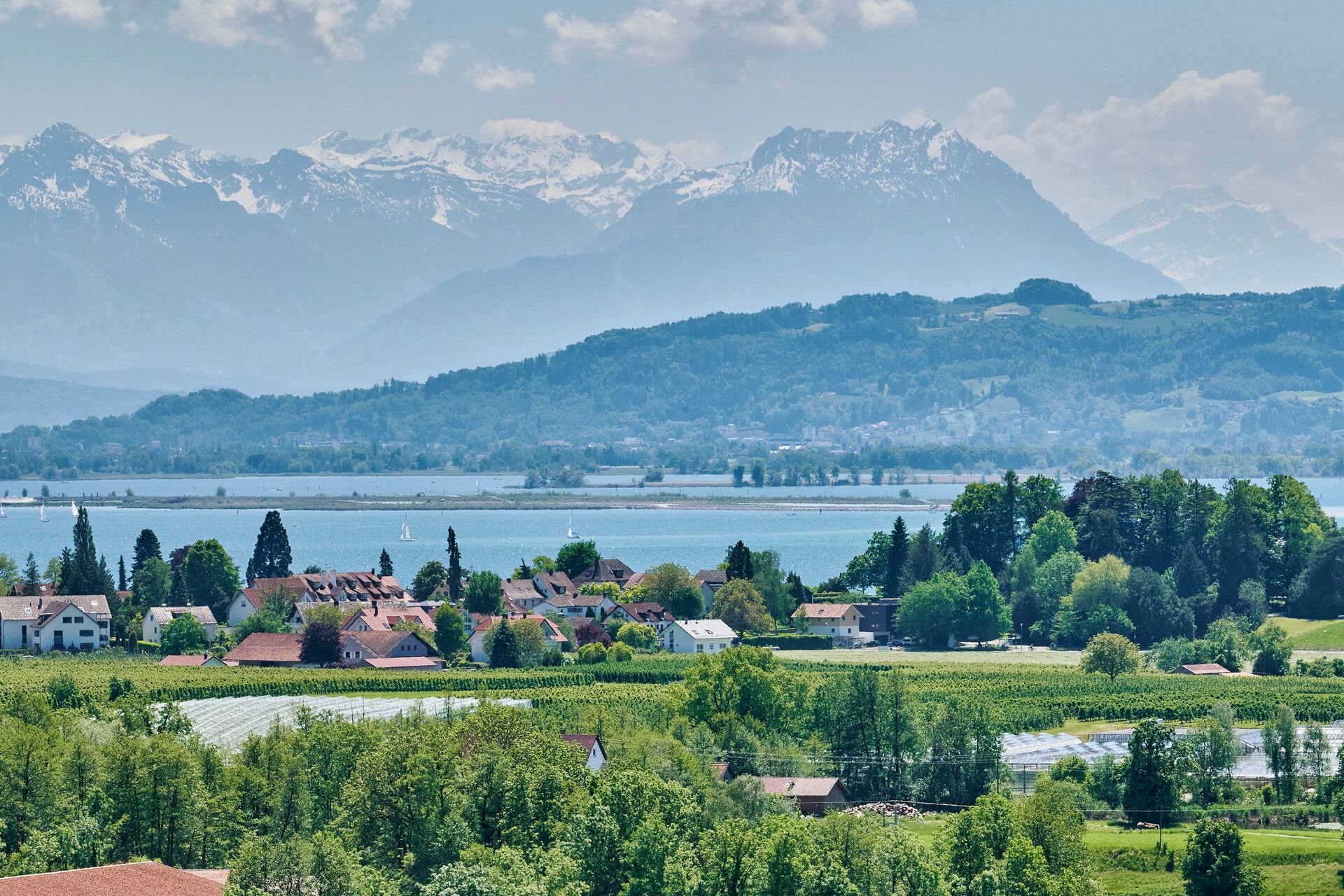 Panoramabild im Landkreis Lindau. Landschaft mit Blick auf den Bodensee und die Bergwelt.