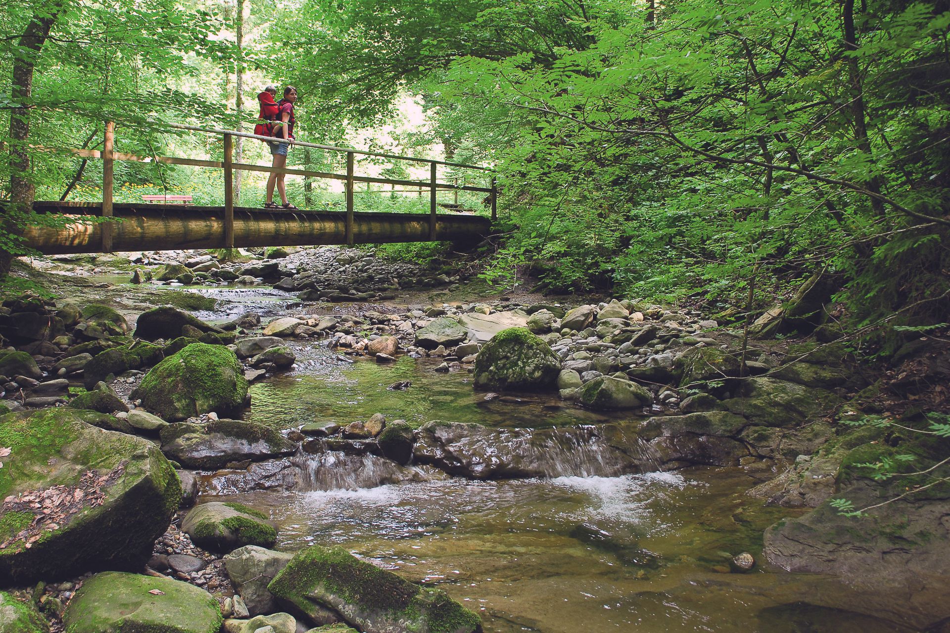 Bild der Westallgäuer Wasserwege.