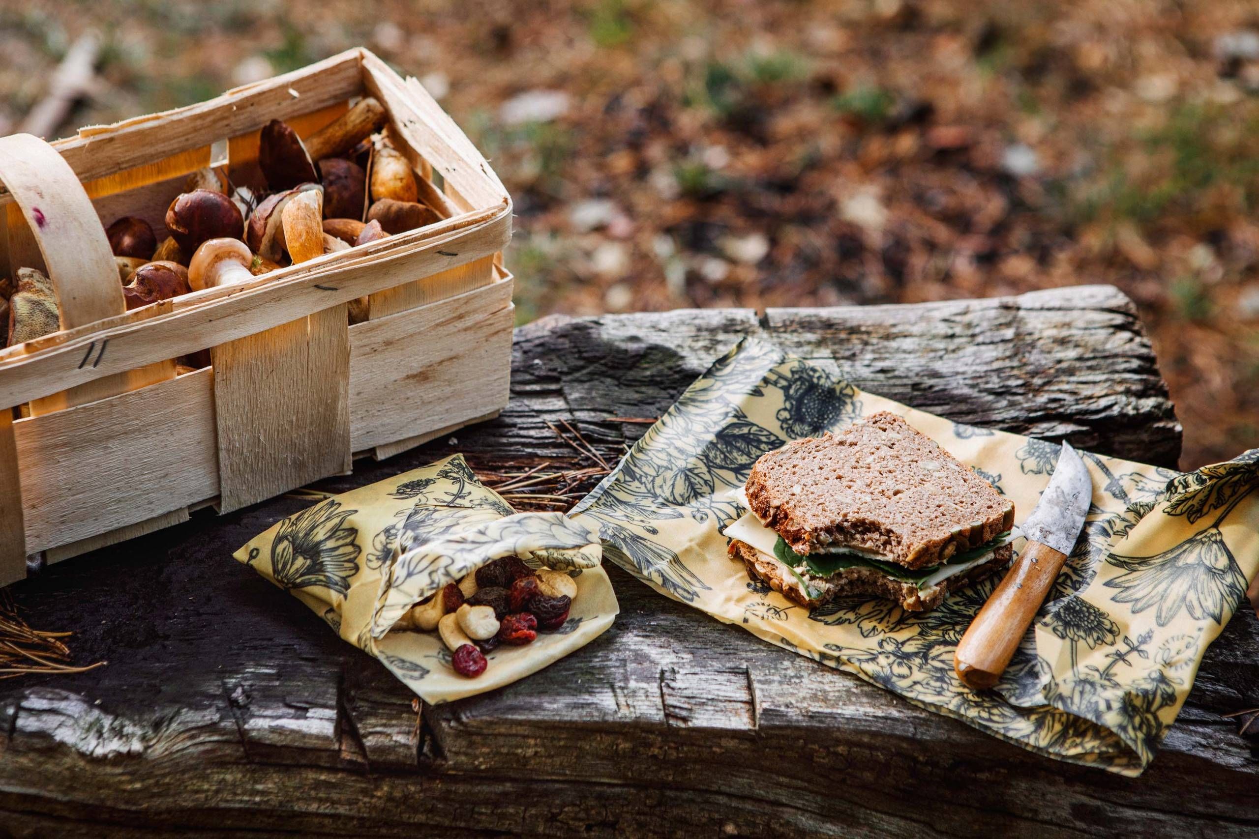 Little Bee Fresh, 100% Bio-Bienenwachstücher. Vesperpause im Wald. Auf einem Bienenwachstuch liegt eine Brotzeit. Im Hintergrund ein Pilz Korb.