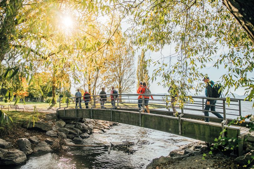 Eine Wandergruppe wandert über eine Brücke. Die Bäume sind goldgelb gefärbt, die Sonne scheint.