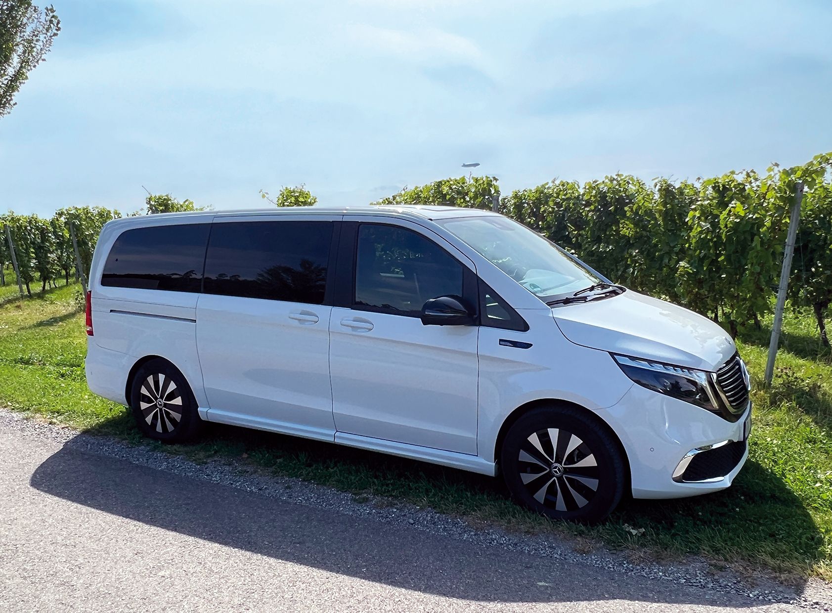 Weintour am Bodensee. Weißer Transporter, der neben der Straße bei einem Weinberg parkt.