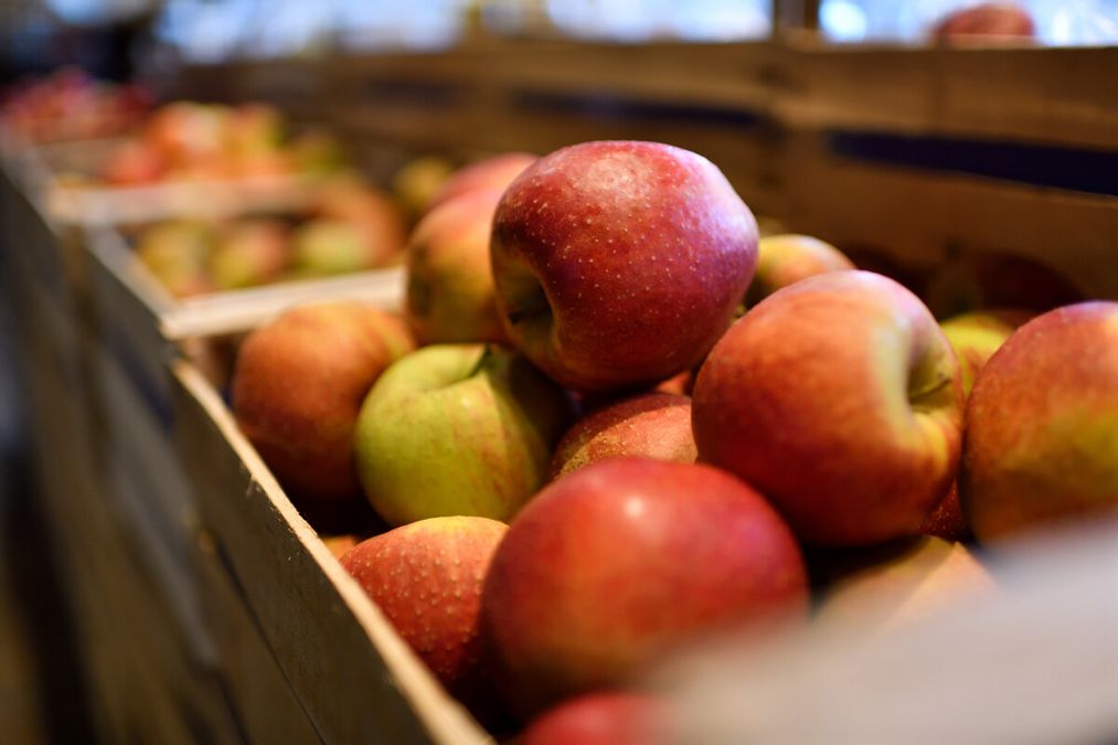 frische Äpfel in einer Obstkiste