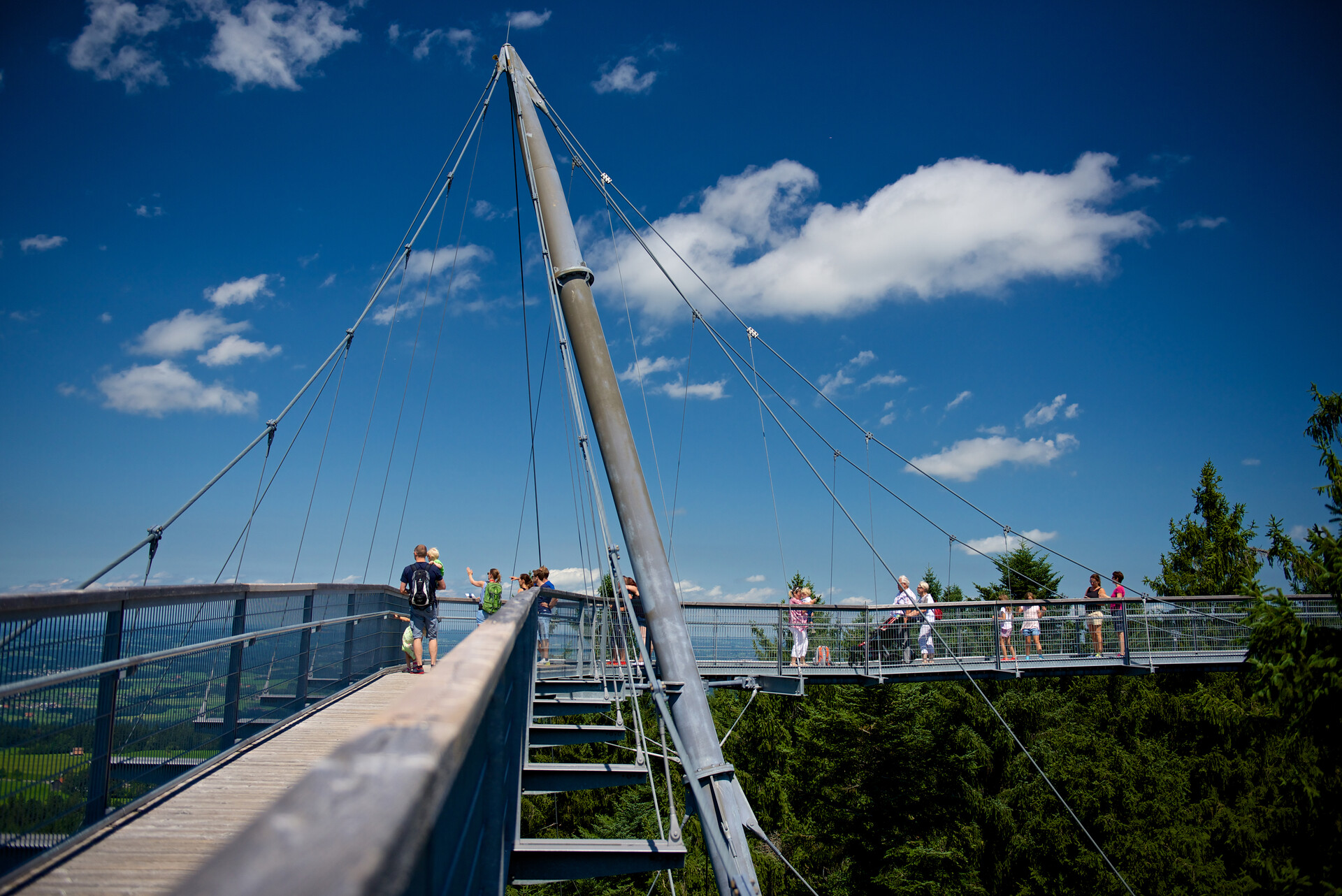Baumwipfelpfad im Skywalk Allgäu