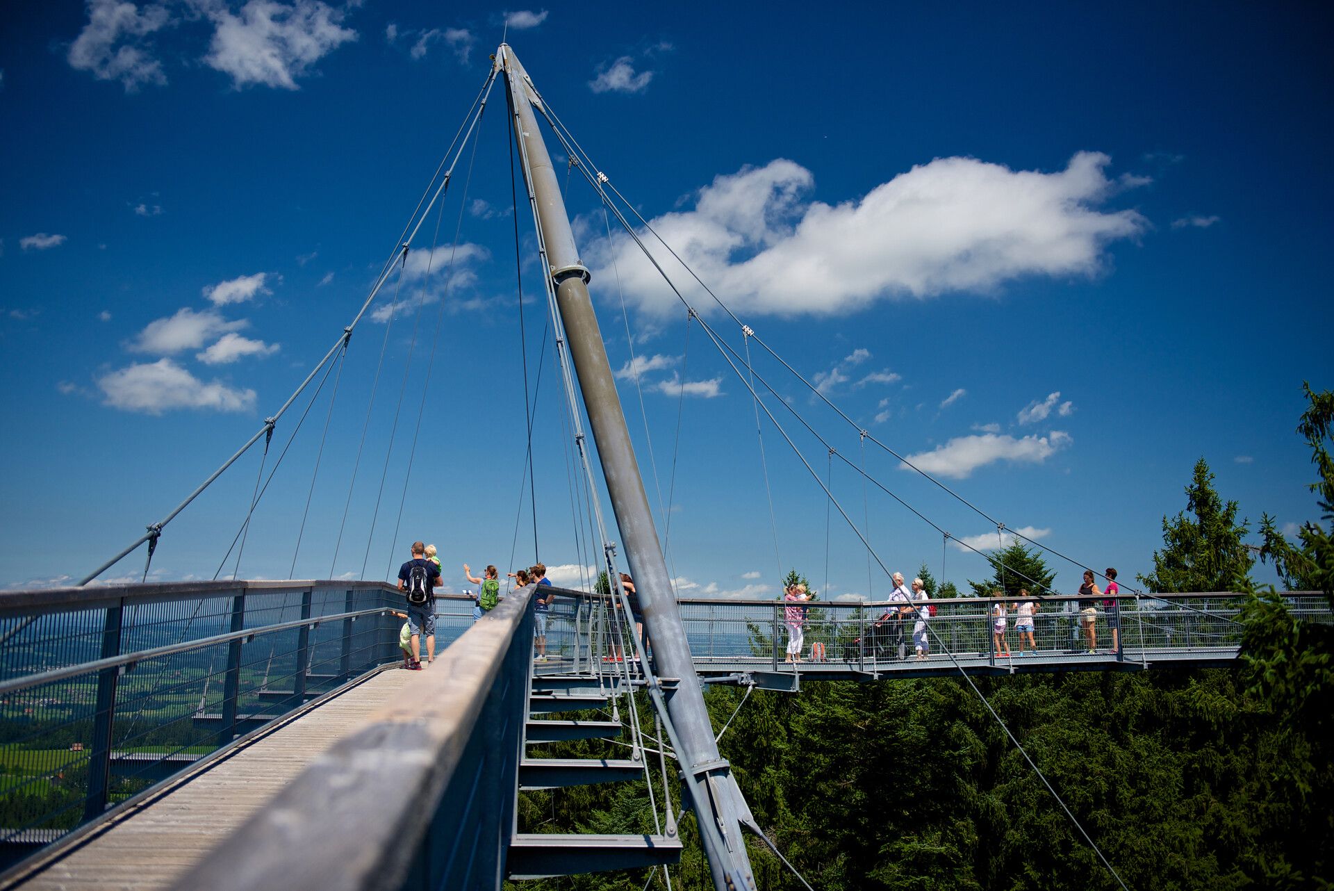 Baumwipfelpfad im Skywalk Allgäu