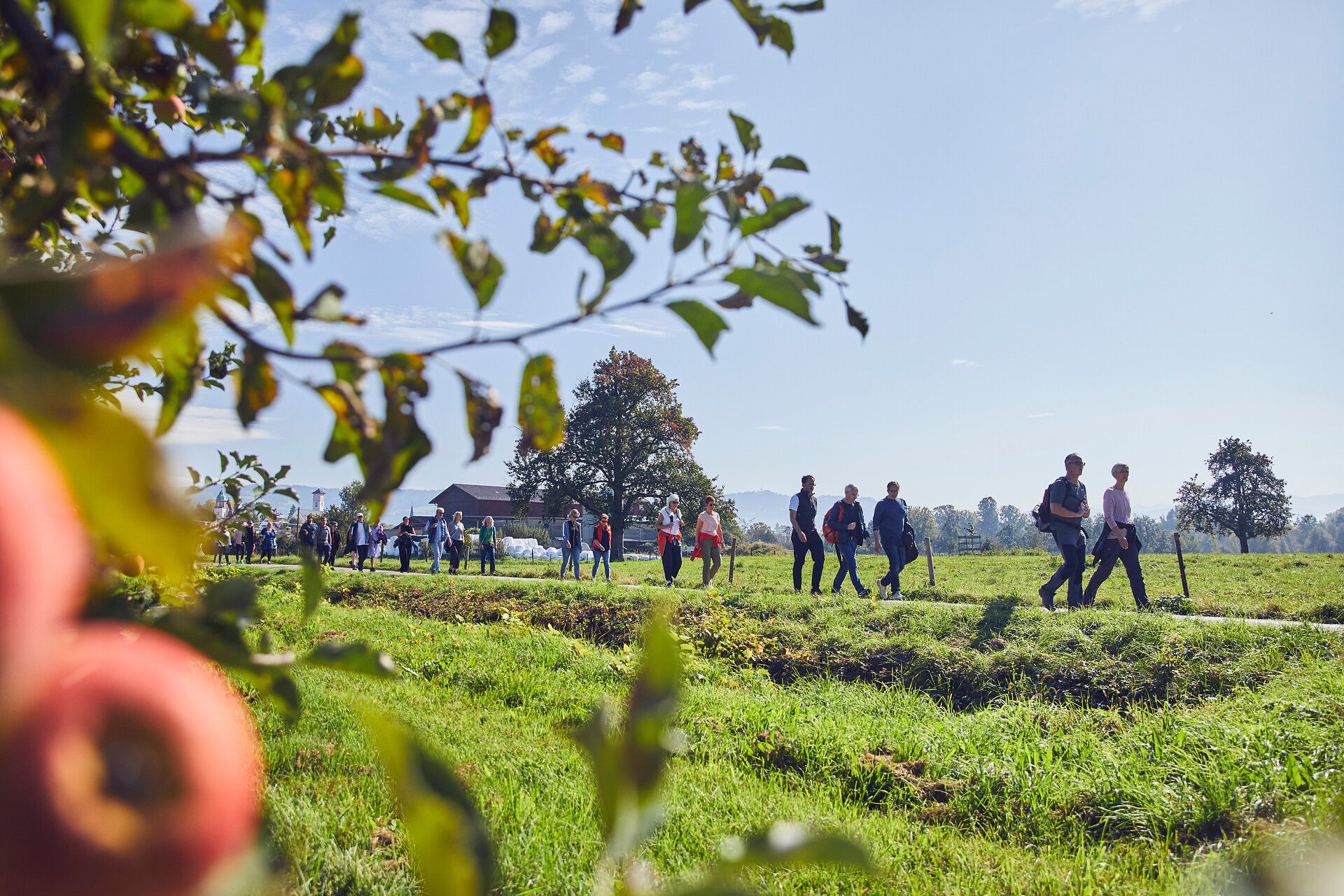 Menschen die einen Wanderweg entlang von Apfelplantagen wandern.