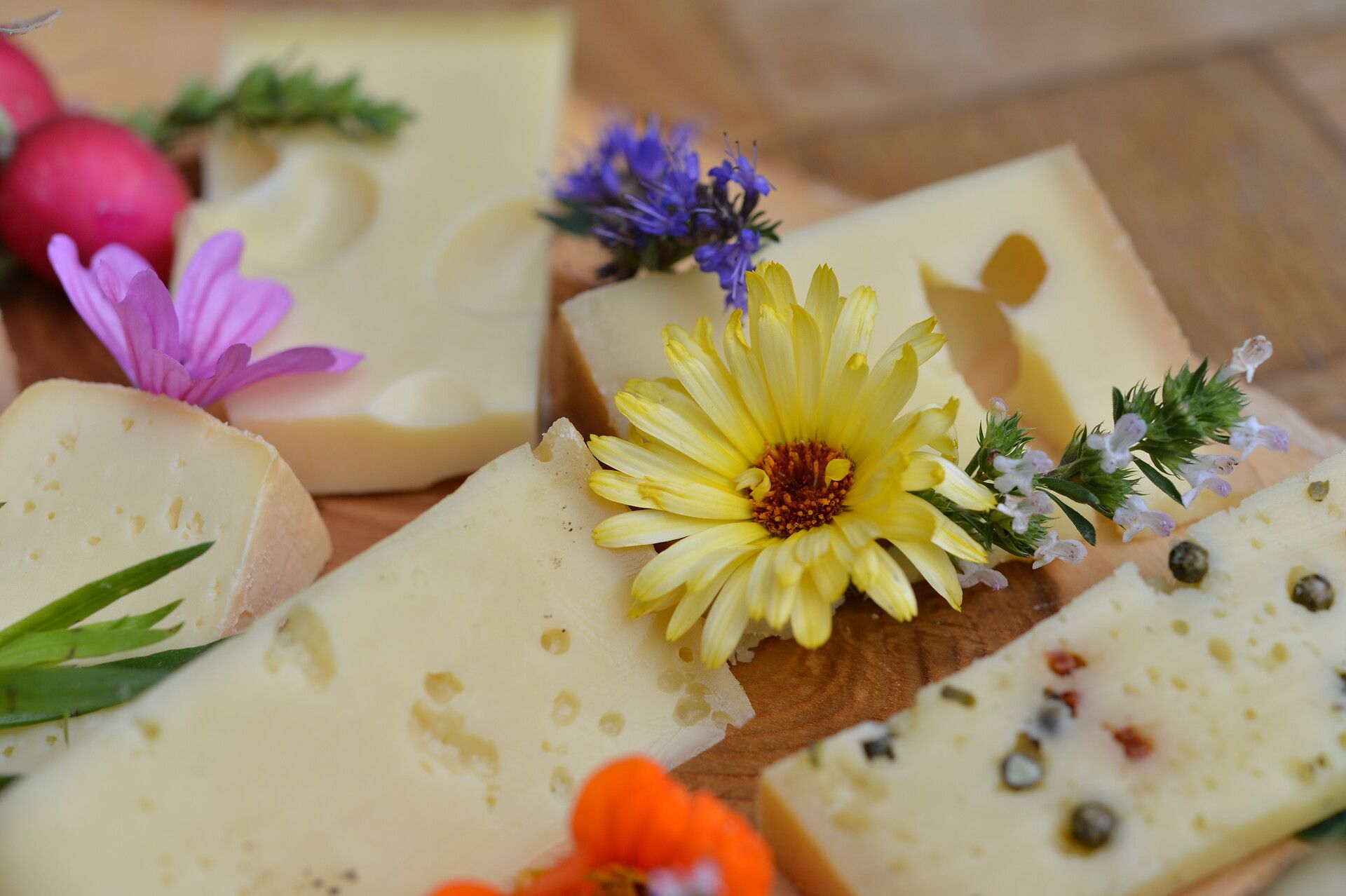 Eine Käseplatte mit aufgeschnittenen Käsestücken dekoriert mit Blumen und Kräuter