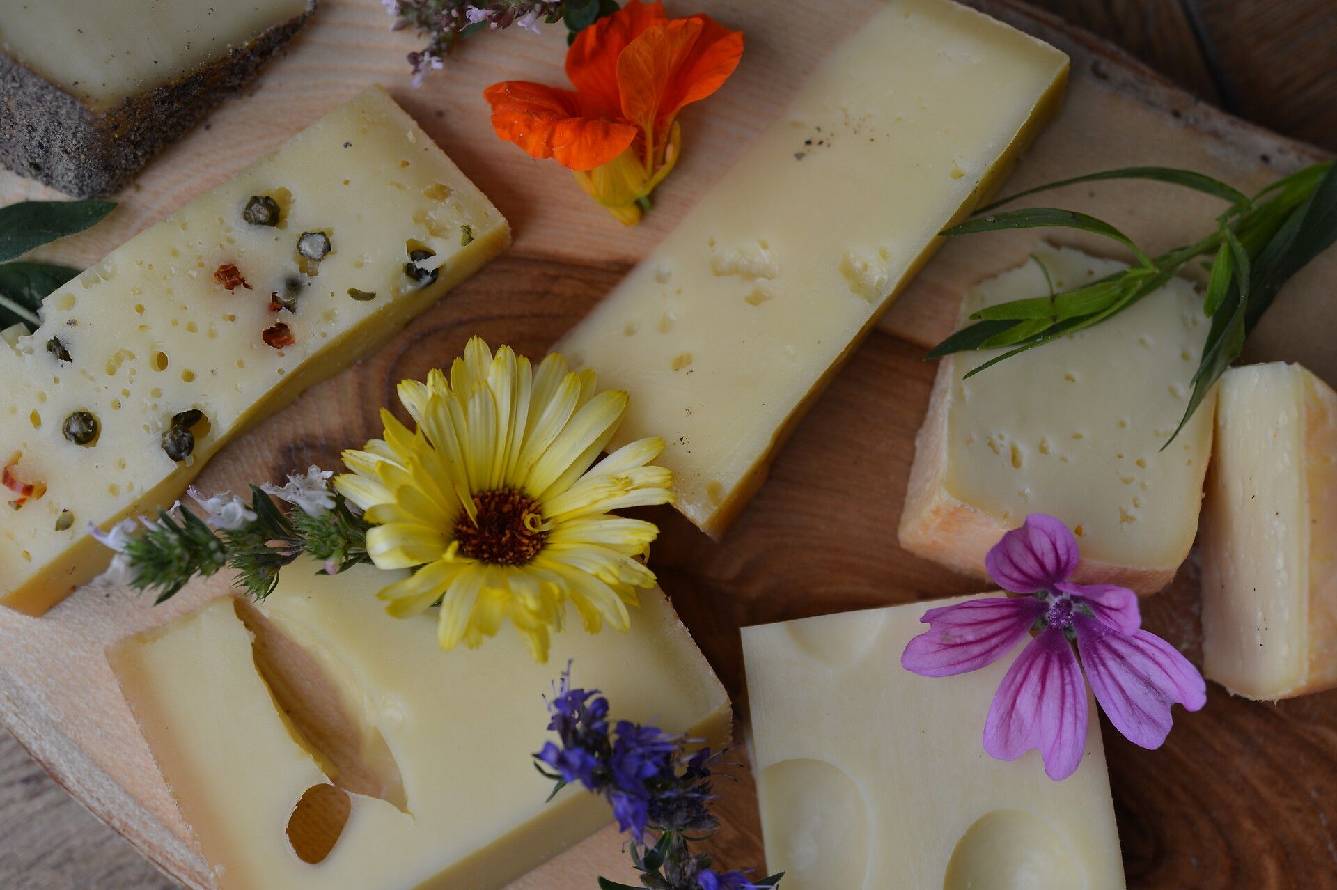 Verschiedene stücke Käse auf einer Platte dekoriert mit Kräuter und Blumen