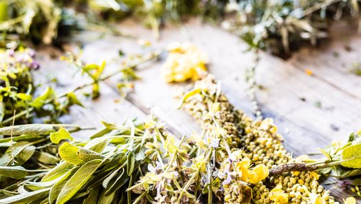 Kräuter die ausgelegt auf dem Boden liegen