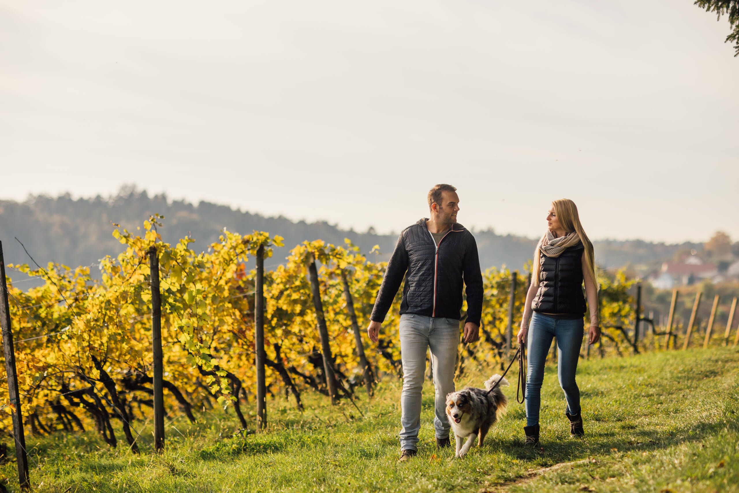 Ein Pärchen läuft im Herbst mit ihrem Hund an der Leine durch die Weinberge.