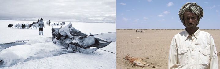 Ausstellungstipp: Klima-Wandelt