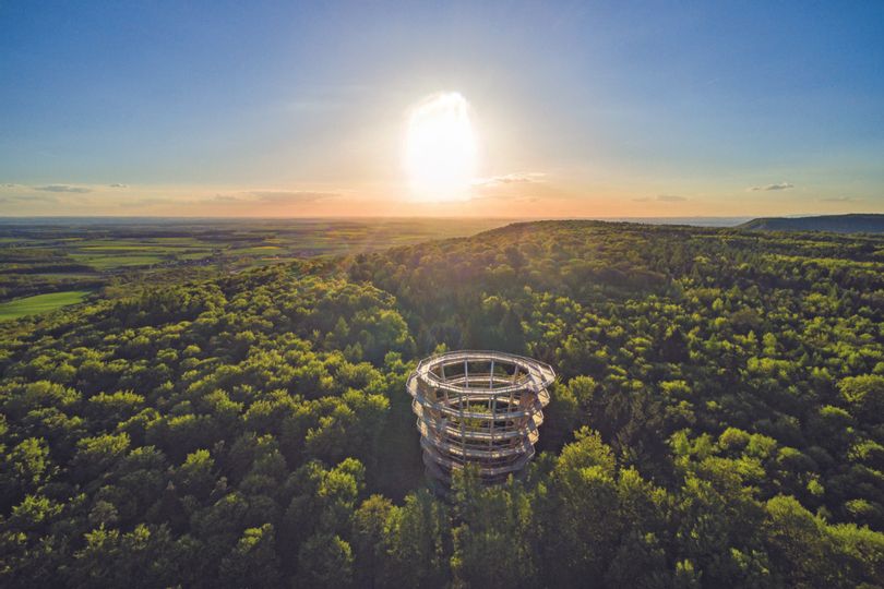 Steigerwald Baumwipfelpfad