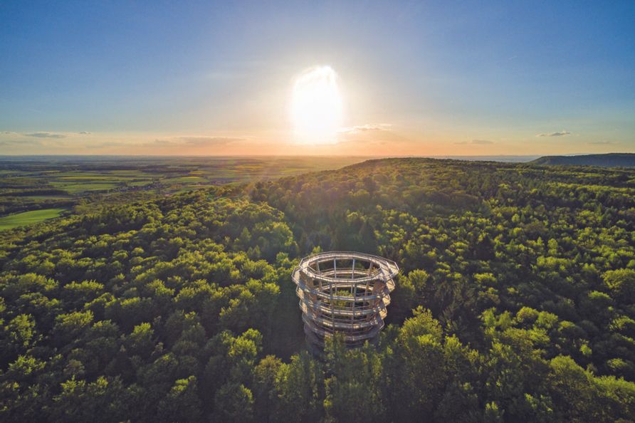 Steigerwald Baumwipfelpfad