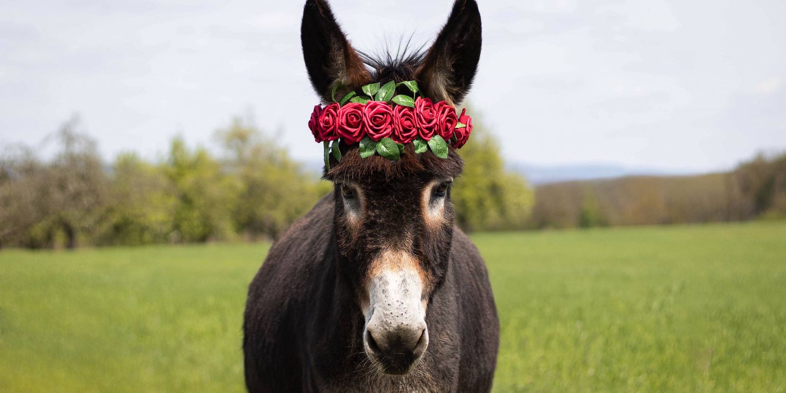 Wenn der Weg zum Ziel wird