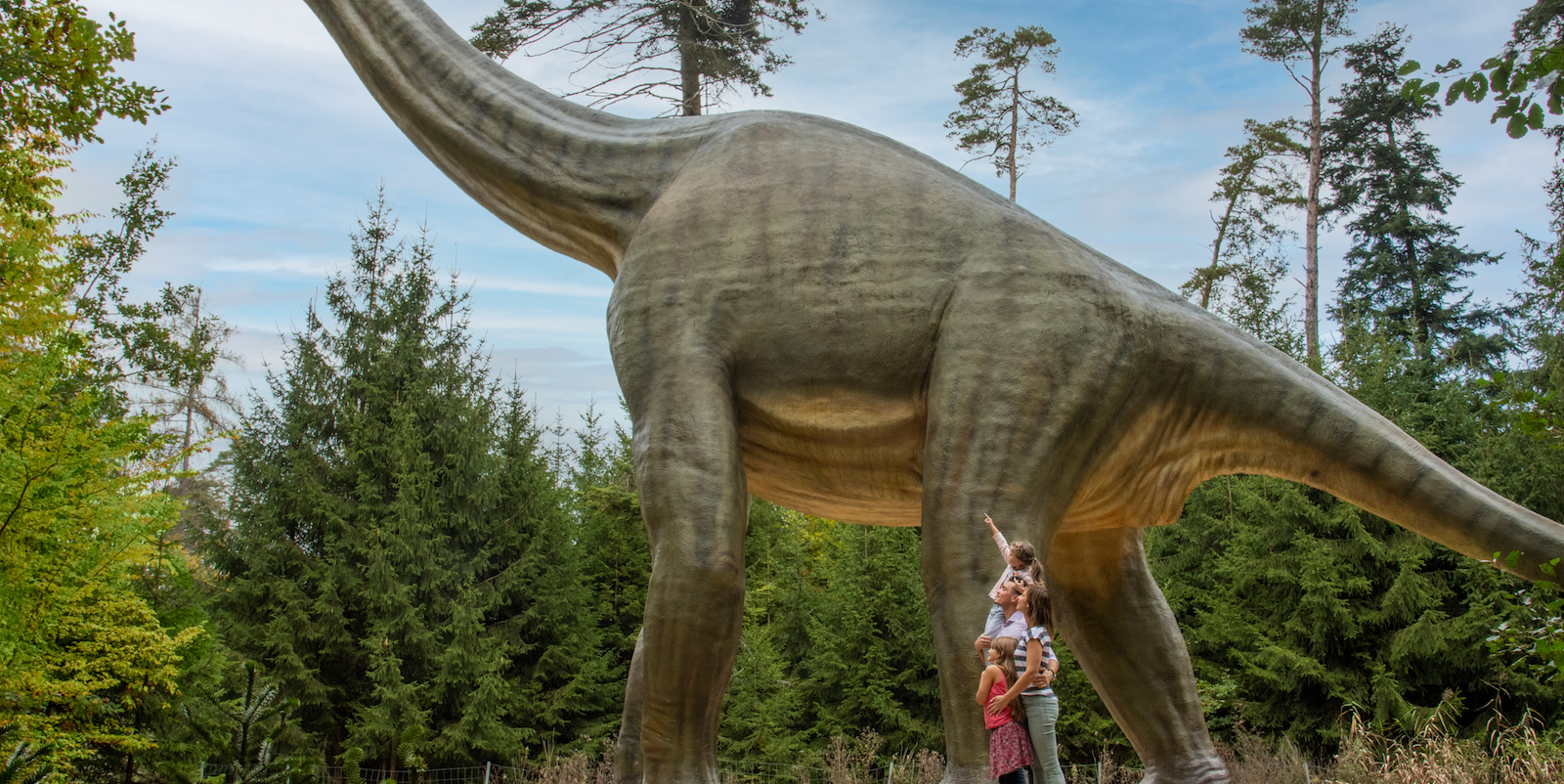 Den Urzeitriesen auf der Spur