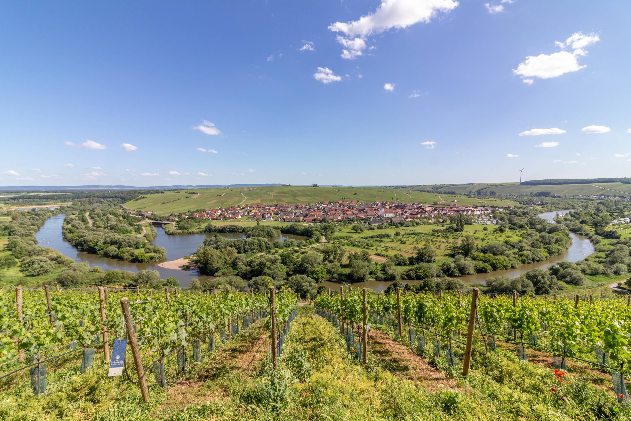 Wein, Main und mein Fahrrad › Hugo Stadtmagazin HUGO INFO