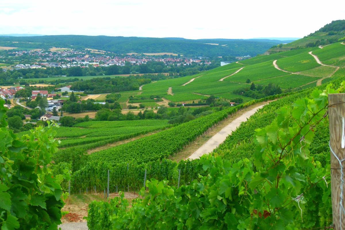 Willkommen im ZweiUferLand am Main!