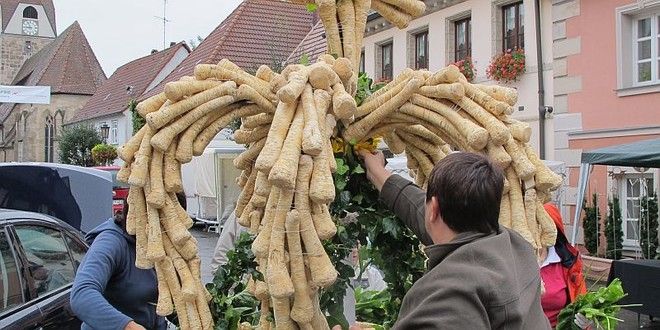 Willkommen zur Apfelwoche im Botanischen Garten der Friedrich-Alexander-Universität Erlangen-Nürnberg!