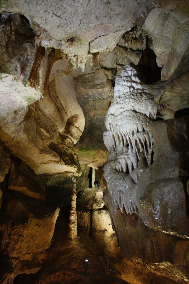 Die Binghöhle in Streitberg zählt zu den schönsten Tropfsteinhöhlen der Fränkischen Schweiz und bietet faszinierende Einblicke in eine unterirdische Felslandschaft