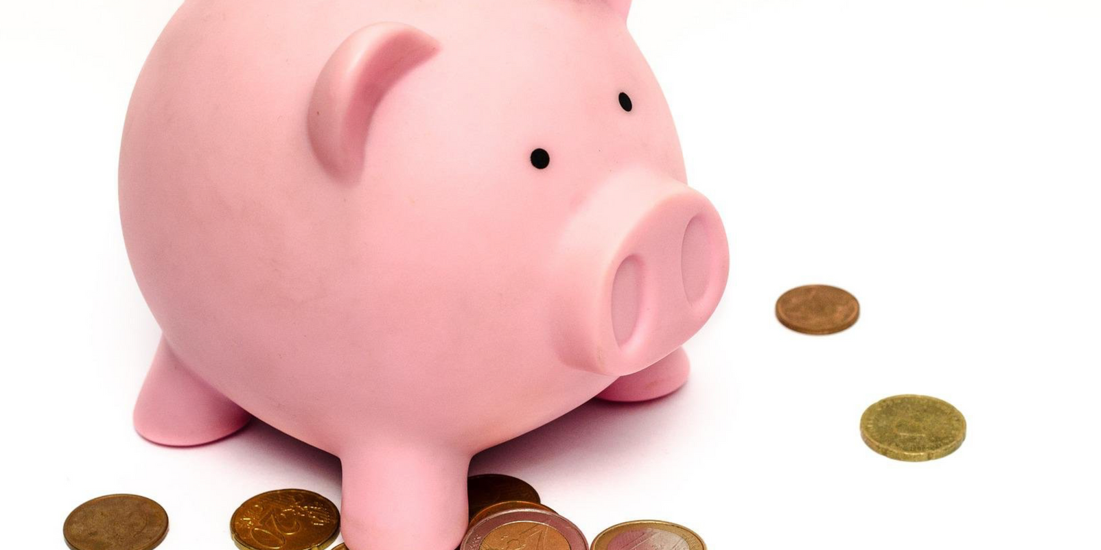 100 000 Euro haben die Bürger*innen der Stadt Forchheim im Sparschwein
des Bürgerhaushalts!