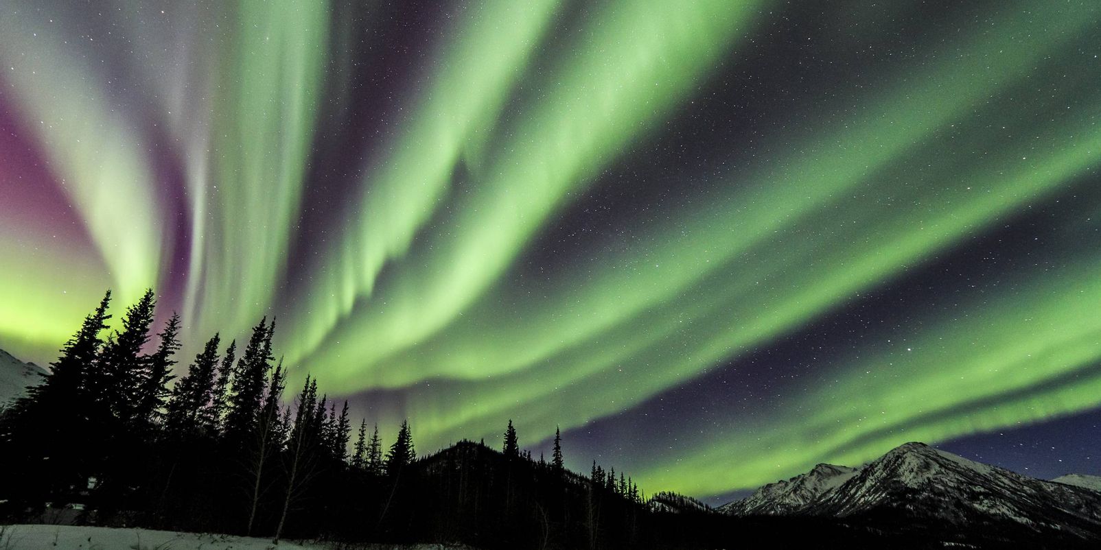 Fern Blick das Festival für  alle Foto und Reisebegeisterten in Herzogenaurach
