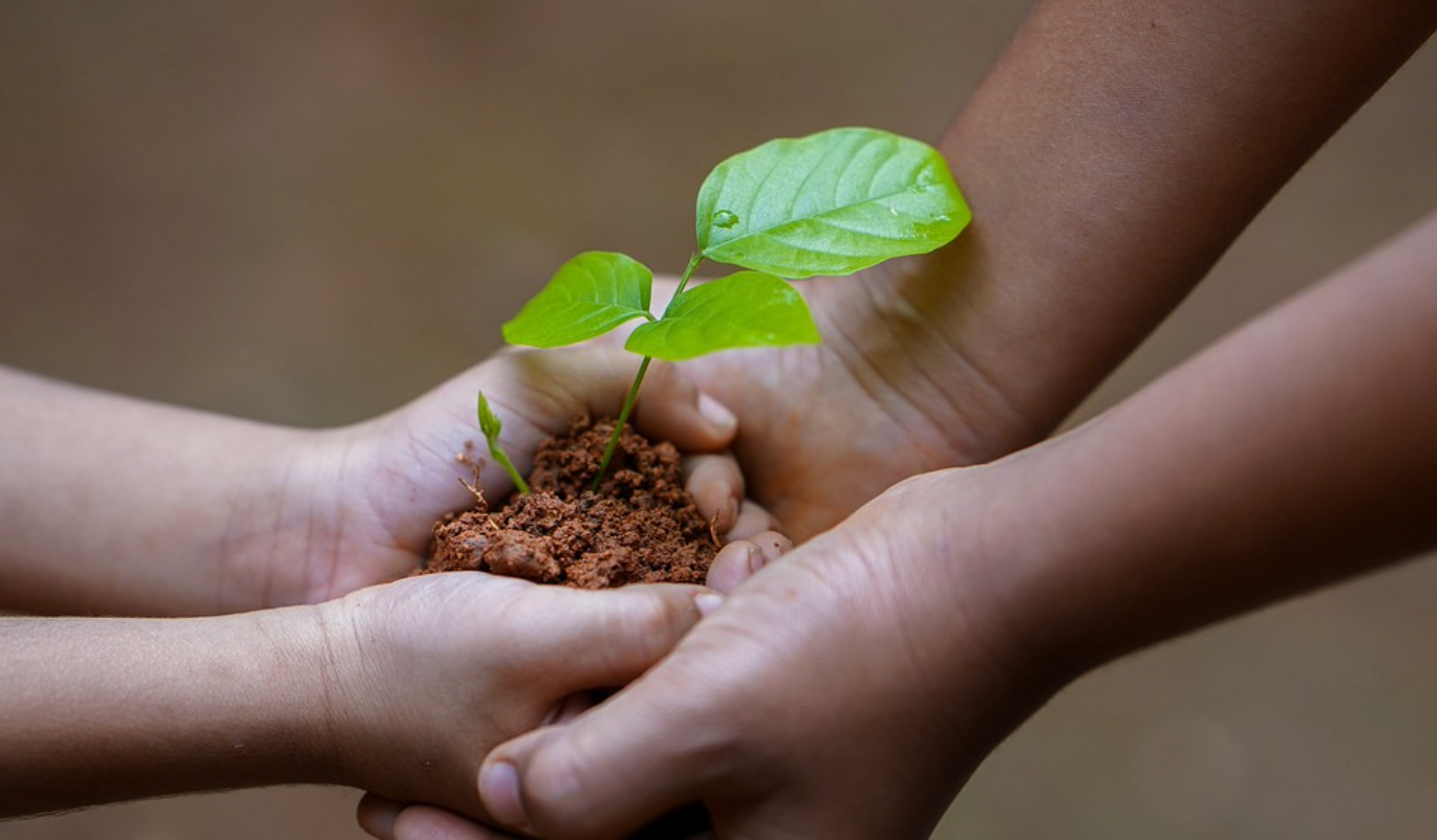 Gemeinsam ackern für morgen – Entdecken Sie das Urban Farming auf dem Zukunftsacker Erlangen