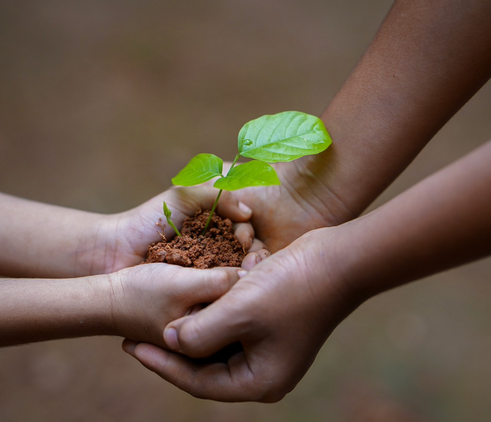 Ackerworkshops für alle Altersgruppen auf dem Zukunftsacker Erlangen